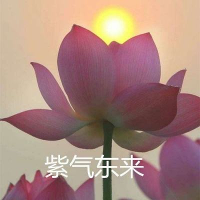 情剑奇缘手游最新版下载